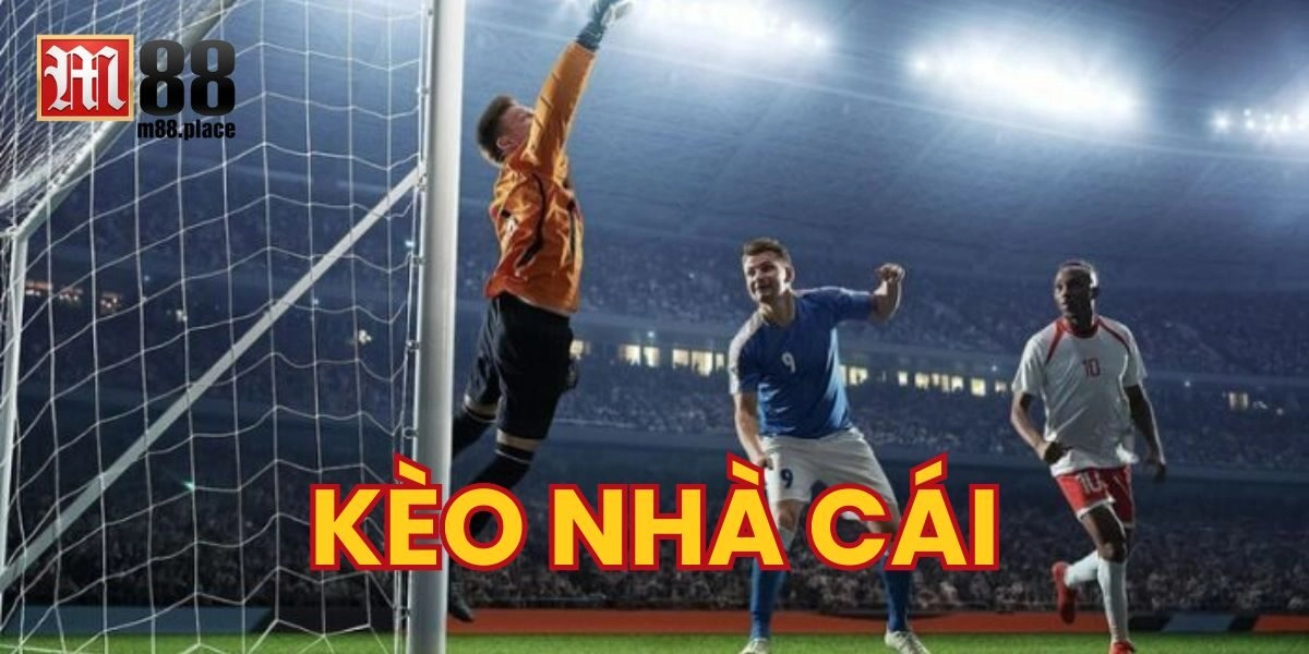 Có bao nhiêu loại Kèo Nhà Cái